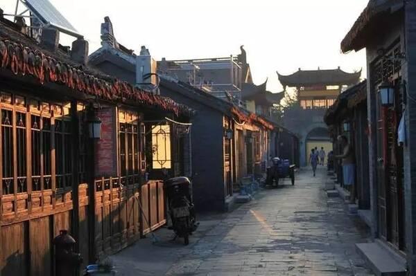 哪些动物可以像狗一样伸出舌头散热？游戏画面